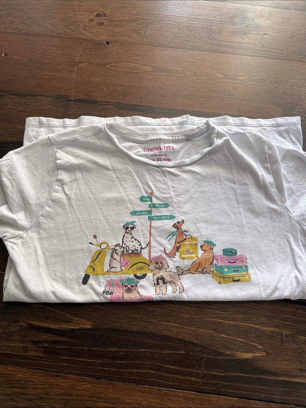 Crewcuts White Kids Short-Sleeve Tee with Travel Dog Print